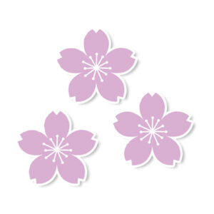 SAKURA ORCHID TRIO Mini Decals