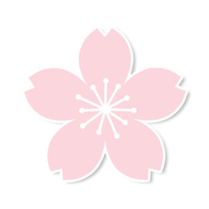 SAKURA BLUSH Decal
