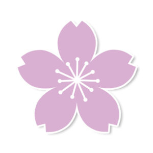 SAKURA ORCHID Decal