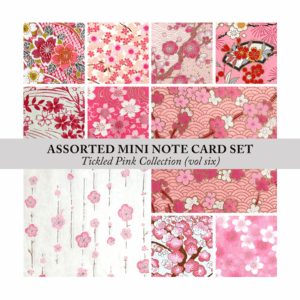 Assorted Mini Washi Note Card Set (TICKLED PINK Vol. 6)