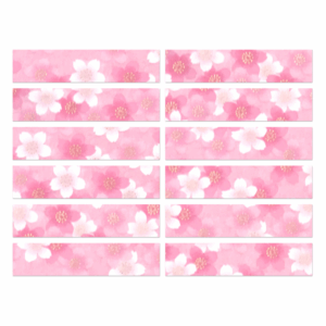 SANA Washi Tape Strips