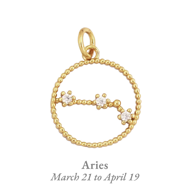 aries_charm
