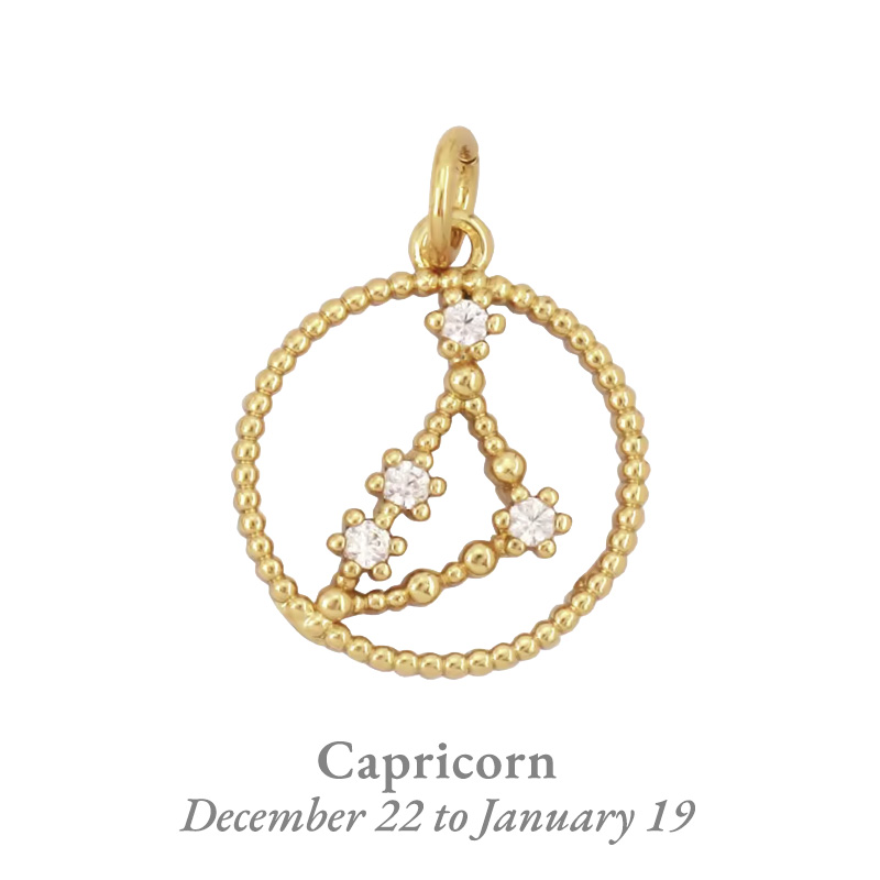 capricorn_charm